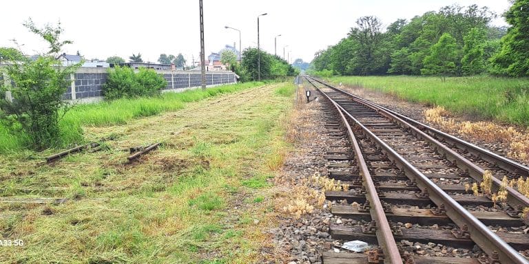 Zdjęcie z realizacji